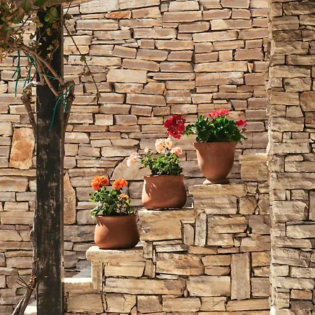 House Sika Hébergement de vacances Miškovići