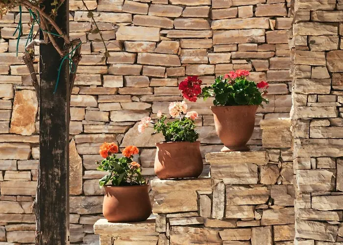 House Sika Casa vacanze Miškovići